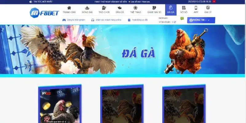 F8BET là một trong những địa chỉ cá cược đá gà online hàng đầu