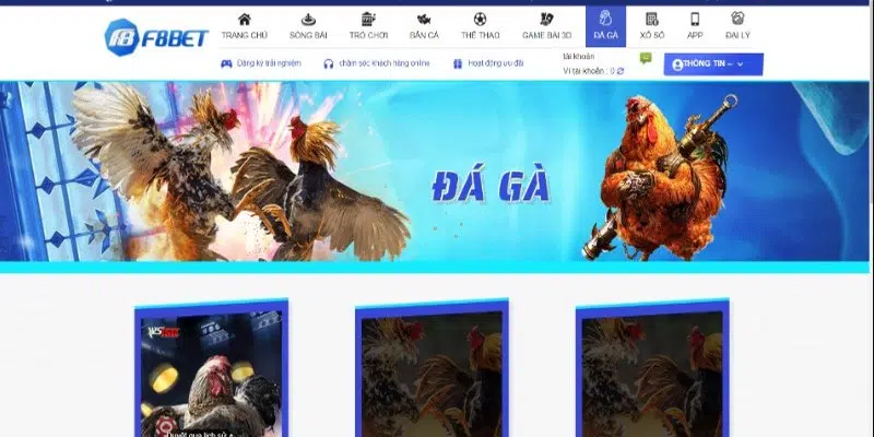 Sảnh cược đá gà tại F8BET đã trở thành lựa chọn hàng đầu