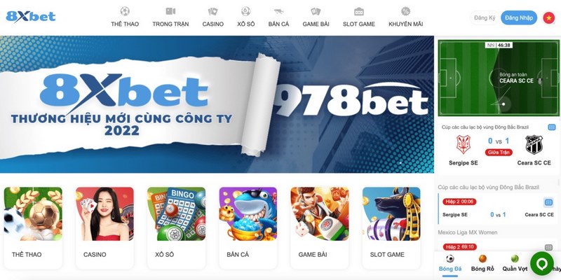 nha cai Thông Tin Về Nhà Cái 8XBET