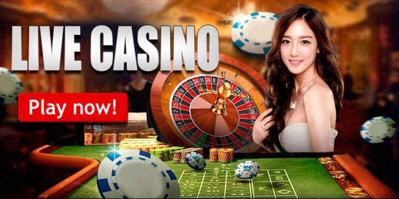 nha cai sodo66.jpg Cùng F8BET Tìm Hiểu SODO66