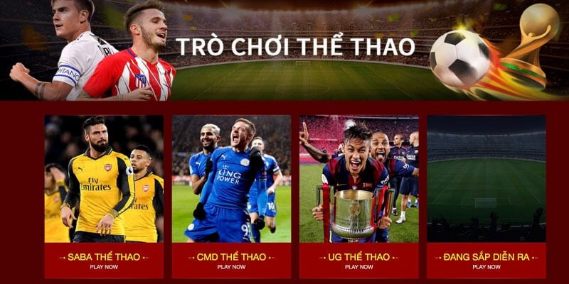 the thao nha cai 333666 Nhà Cái 333666 - Thiên Đường Giải Trí Và Cá Cược Của Mọi Nhà