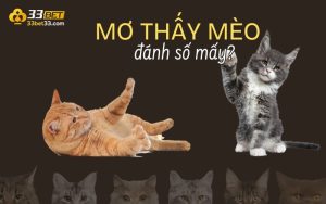 Mơ thấy mèo