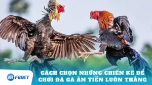 Cách Chọn Những Chiến Kê Để Chơi Đá Gà Ăn Tiền Luôn Thắng