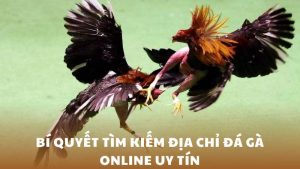 Bí Quyết Tìm Kiếm Địa Chỉ Đá Gà Online Uy Tín, Đáng Tin