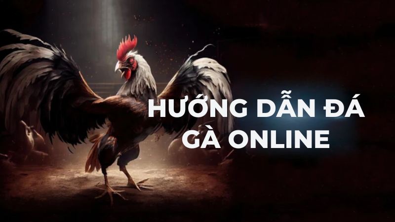 Hướng Dẫn Đá Gà Online - Bí Quyết Chiến Thắng Lớn