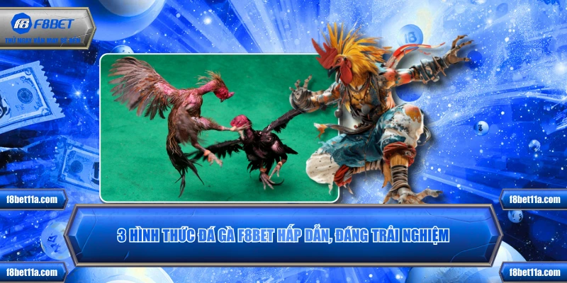 3 hình thức Đá Gà F8BET hấp dẫn, đáng trải nghiệm