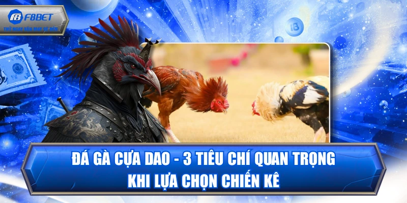 Đá Gà Cựa Dao - 3 Tiêu Chí Quan Trọng Khi Lựa Chọn Chiến Kê