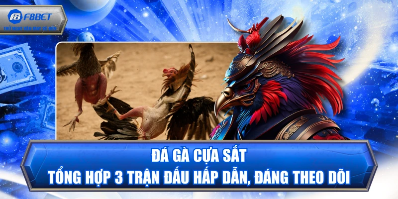 Đá Gà Cựa Sắt | Tổng Hợp 3 Trận Đấu Hấp Dẫn, Đáng Theo Dõi