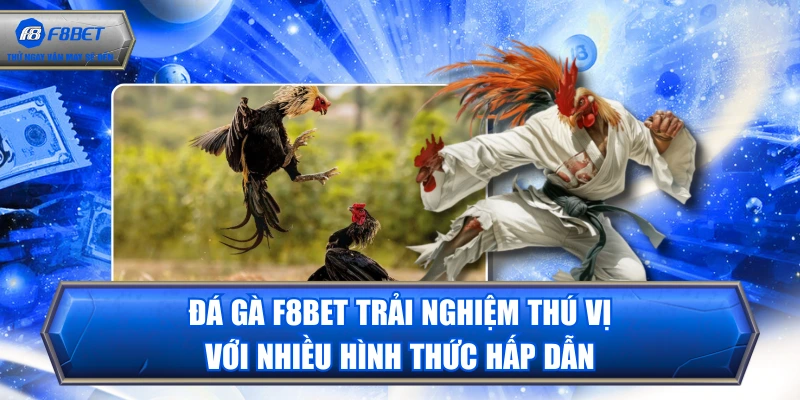 Đá Gà F8BET Trải Nghiệm Thú Vị Với Nhiều Hình Thức Hấp Dẫn