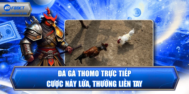 Đá Gà Thomo Trực Tiếp - Cược Nảy Lửa, Thưởng Liền Tay