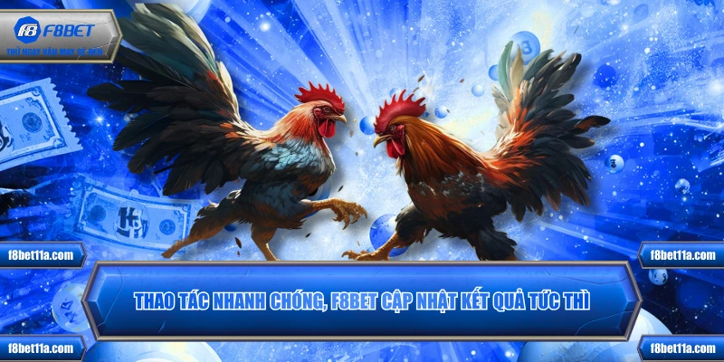 Thao tác nhanh chóng, F8BET cập nhật kết quả tức thì